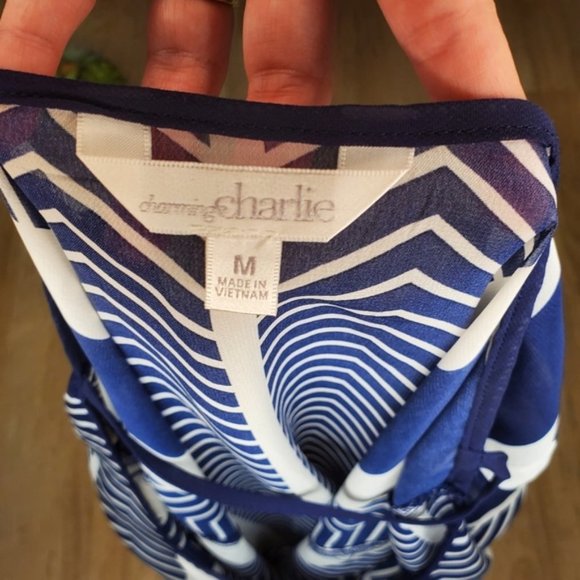 Charming Charlie Sheer Striped Top White Blue Blouse Oversized Nautical Preppy M - Picture 3 of 5